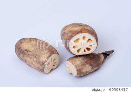 加賀野菜　加賀れんこん／節が詰まって実が締まったおいしいれんこん 69503457