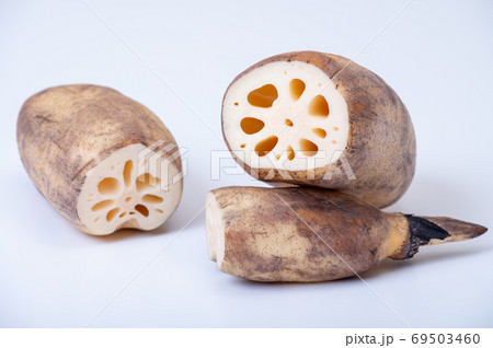 加賀野菜　加賀れんこん／節が詰まって実が締まったおいしいれんこん 69503460