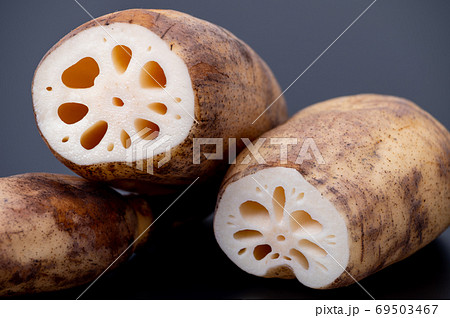 加賀野菜　加賀れんこん／節が詰まって実が締まったおいしいれんこん 69503467