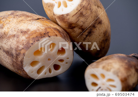 加賀野菜　加賀れんこん／節が詰まって実が締まったおいしいれんこん 69503474