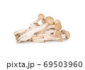 fresh shimeji (brown beech) mushroom on white background 69503960
