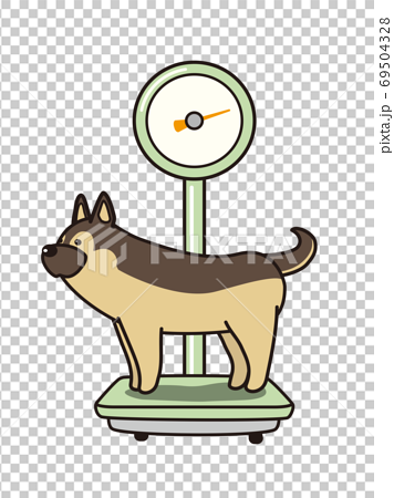 レトロな体重計で体重を測る犬のイラスト素材
