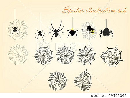 可愛い リアル ハロウイン他蜘蛛のイラストセットのイラスト素材