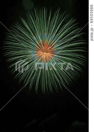 【秋田県】大曲の花火　全国花火競技大会　日本一の花火大会 69505666