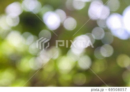 Green leaf natural bokeh used for background 69508057