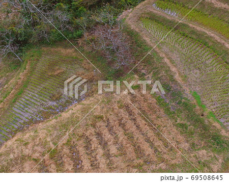 鴨川大山千枚田〜ドローンで空撮（千葉県鴨川市平塚） 69508645