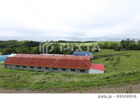 北海道 釧路地方 牧場のある風景 北海道 釧路地方 牧場のある風景 69508956