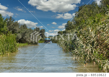 Danube biosphere reserve Ankudinovo river summer landscape. Vilkove, Ukraine. 69510622