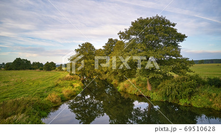 Summer background with alder tree on riverbank. Agriculture fiel 69510628