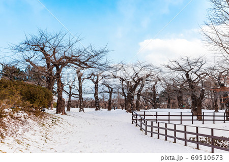 雪景色の五稜郭 雪景色の五稜郭 69510673