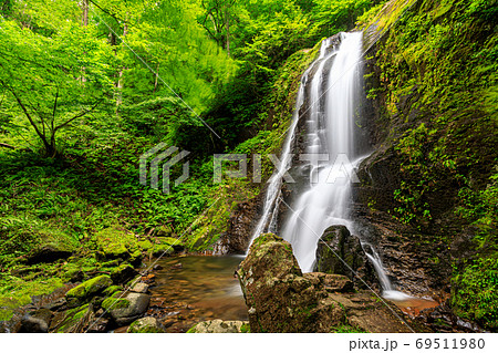 岐阜・高山・夏の宇津江四十八滝 69511980