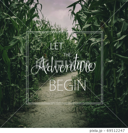 let the adventure begin quote concept with moody summer corn maze 69512247