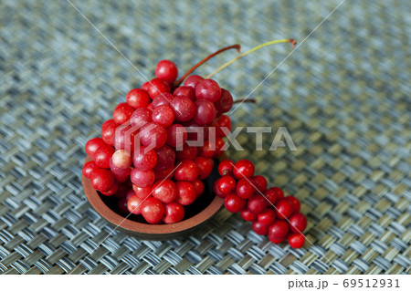 果実 実 五味子 69512931