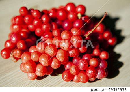 果実 実 五味子 69512933
