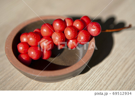 果実 実 五味子 69512934