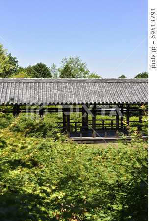 本坊庭園から見た通天橋 本坊庭園から見た通天橋 69513791