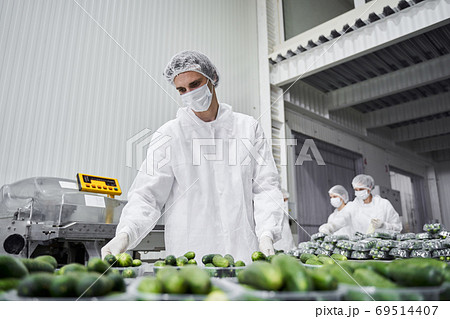 Three people working in a packing house Three people working in a packing house 69514407