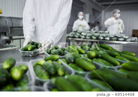 Warehouse workers in uniforms in a packing house Warehouse workers in uniforms in a packing house 69514408