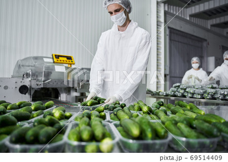 Group of people working in a packaging department 69514409