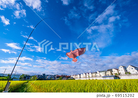 大空と鳥追いカイト 69515202