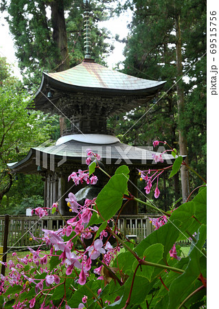 秋海棠の咲く岩湧寺(多宝塔)  69515756