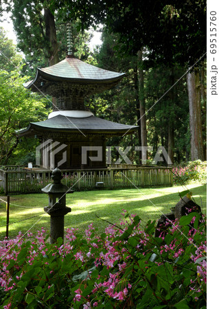 秋海棠の咲く岩湧寺(多宝塔)  69515760