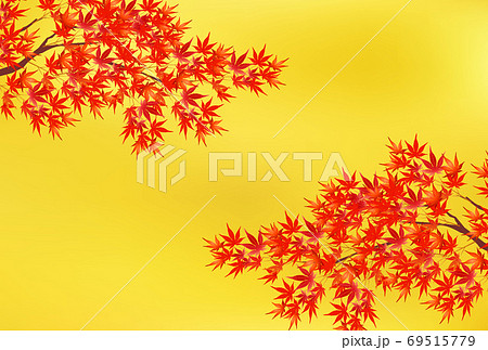 紅葉　もみじ　秋　 背景 69515779