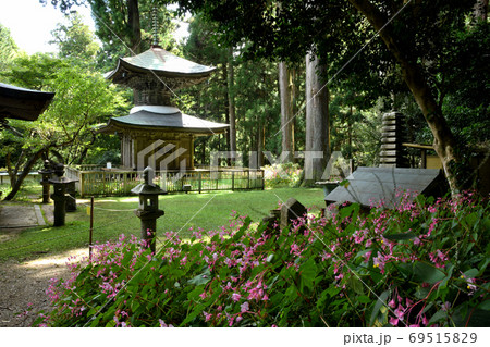 秋海棠の咲く岩湧寺(多宝塔)  69515829