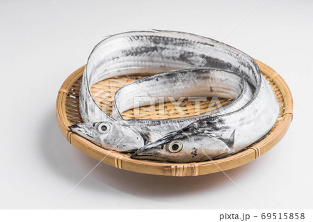 鮮魚　太刀魚 69515858