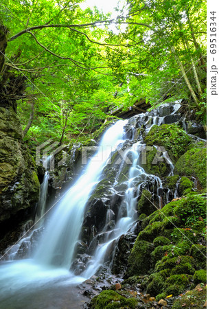 せせらぎ街道　大倉滝遊歩道　百滝コース 69516344