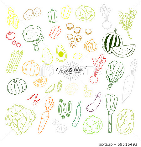 いろんな野菜の手描きイラストアイコン【白背景】 69516493