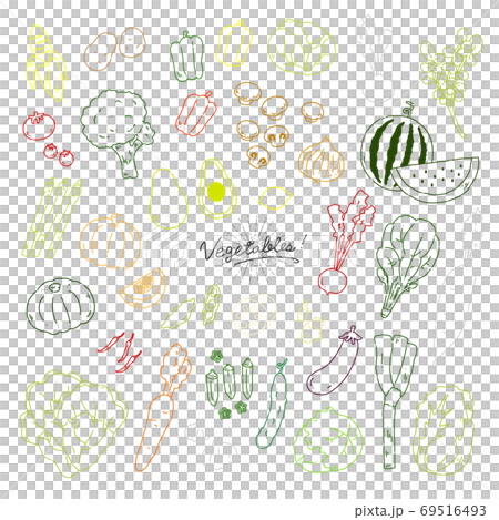 Hand-drawn illustration icon of various vegetables [white background] 69516493