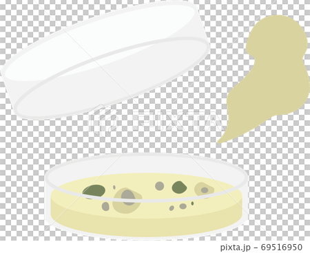 コンタミしたシャーレ コンタミしたシャーレ 69516950