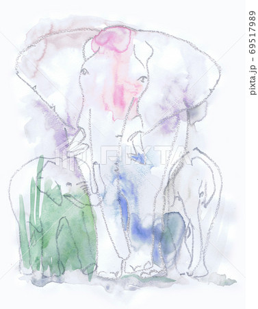 象の親子の水彩画スケッチのイラスト素材 [69517989] - PIXTA