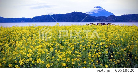 開聞岳に春景色 開聞岳に春景色 69518020