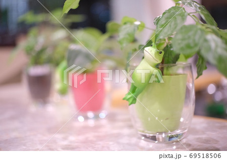 テーブルにカエルの置物 69518506