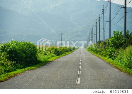 干拓地の道路 69519351