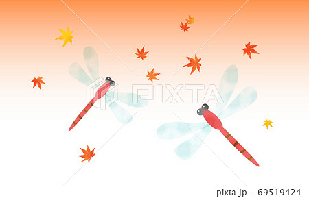 秋の夕焼け空を飛ぶ2匹の赤とんぼと紅葉した楓のイラスト素材