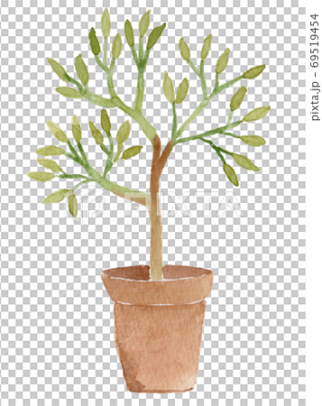 Watercolor illustration of potted tree 69519454