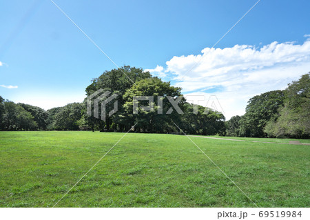 青空と緑が爽やかな公園イメージ　高解像度写真　 69519984
