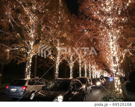 クリスマス～光の並木道を駆け抜ける車 69520108