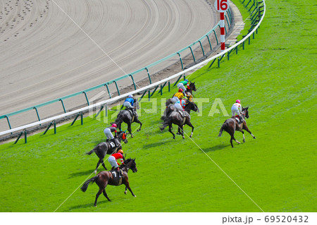 芝コースを疾走するサラブレッド 芝コースを疾走するサラブレッド 69520432