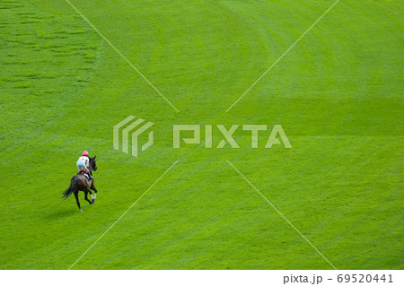 芝コースを駆ける1頭の競走馬 69520441