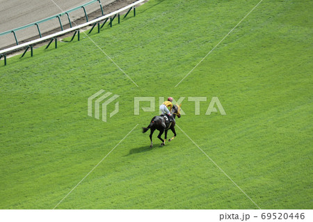 芝コースを駆ける1頭の競走馬 69520446