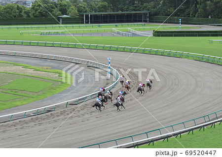 ダートコースを疾走する馬群 69520447