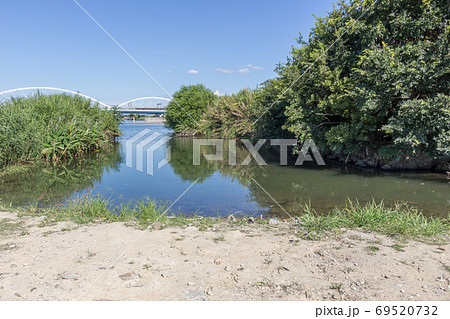 庭窪ワンド群(淀川水系/2020年9月) 庭窪ワンド群(淀川水系/2020年9月) 69520732