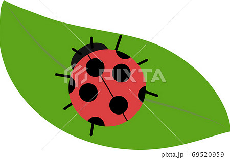 Illustration Of A Cute Ladybug On A Leaf Stock Illustration
