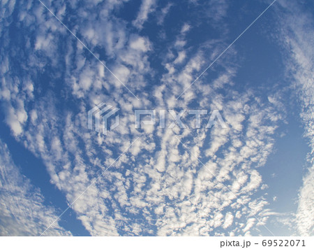 秋空 うろこ雲 秋空 うろこ雲 69522071
