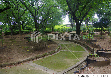 姫路城の千姫ぼたん園 69524184