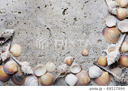 Seashells on the light marble background Seashells on the light marble background 69527994